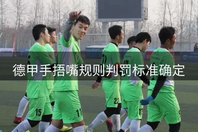 德甲手捂嘴规则判罚标准确定