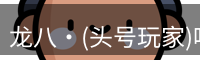 龙八·(头号玩家)唯一官方网站
